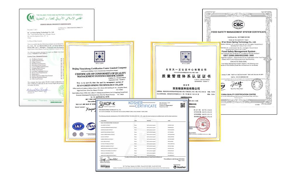 Certificado de qualification.jpg