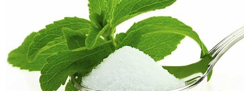stevia extract