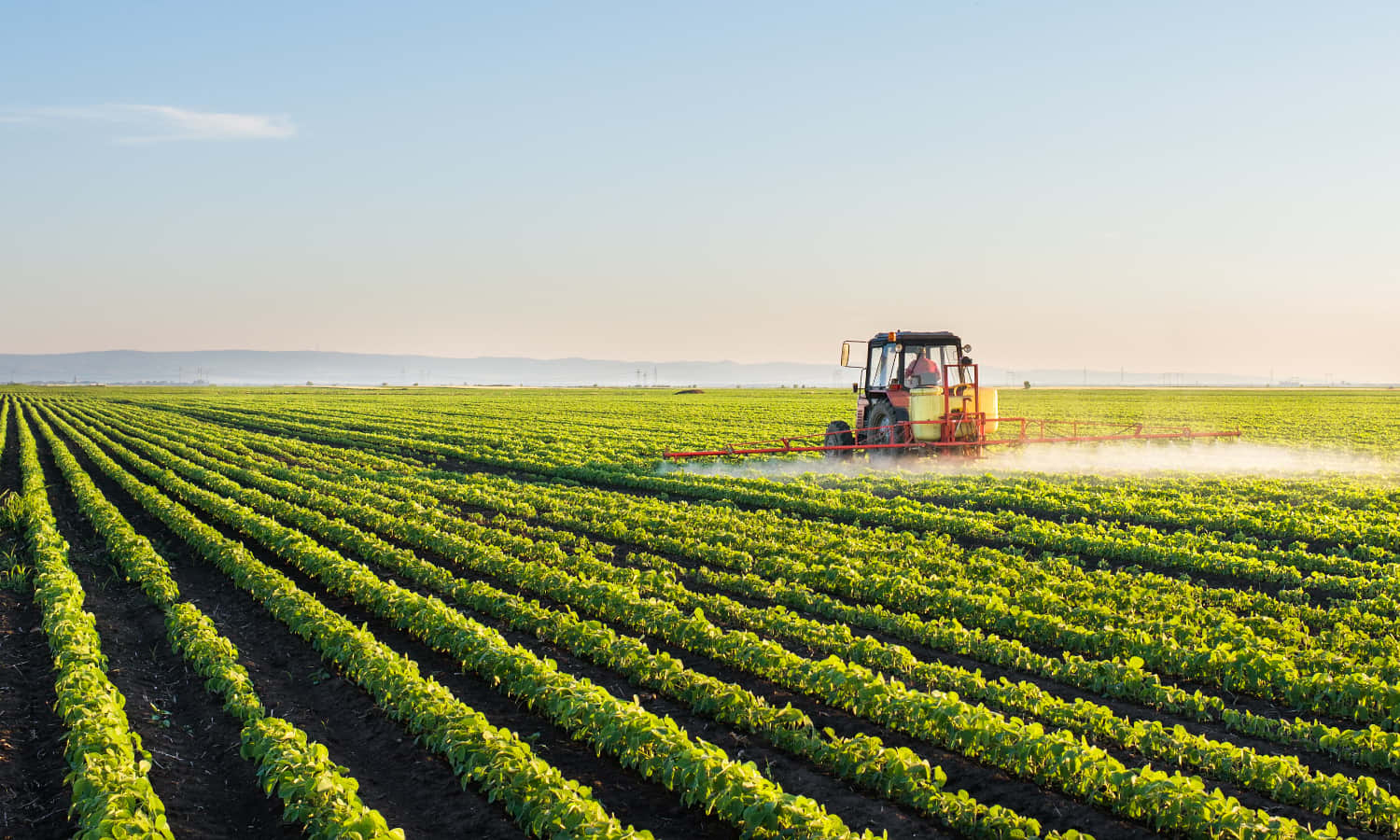 Agriculture