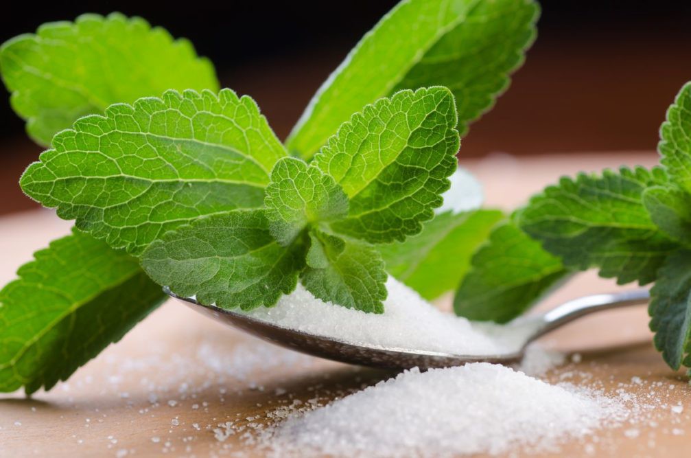 Steviol Glycoside powder Steviol Glycoside powder