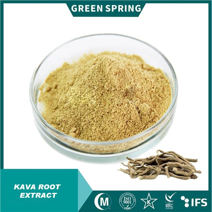 Polvo de extracto de raíz kava