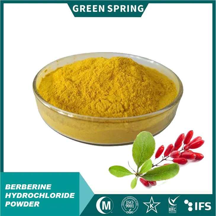 Berberine HCl Powder|97% -99% HPLC|Azúcar en la sangre natural y apoyo intestinal de salud|GMP, certificado por ISO